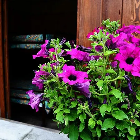 Bed & Breakfast Rifugio Mello San Martino (Sondrio)