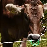 Rifugio Mello Alojamento de Acomodação e Pequeno-almoço *